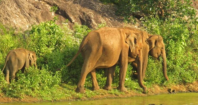 Mumbai, Goa & Kerala Multisport Tour - MOSKITO Adventures 8