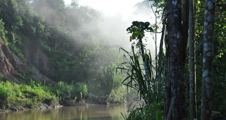 Peru Amazon Extension (Premium) - Explore! 1