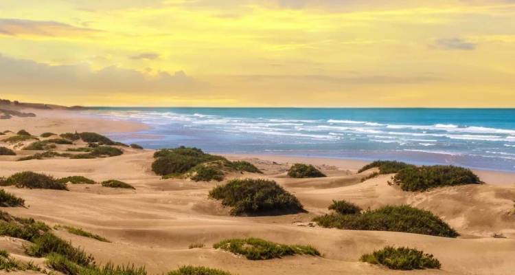 Coucher de soleil doré sur les dunes de sable ondulantes et les vagues de l'Atlantique le long de la côte marocaine.