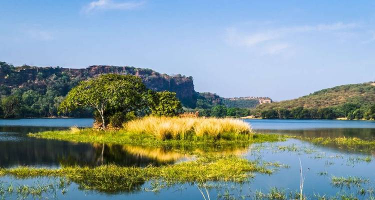 Ranthambore Wildlife Extension - Explore! 7
