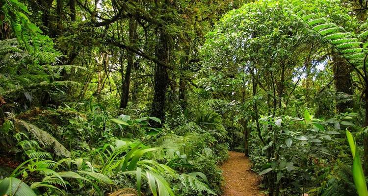 Aspectos destacados de Costa Rica en familia - Explore! 7