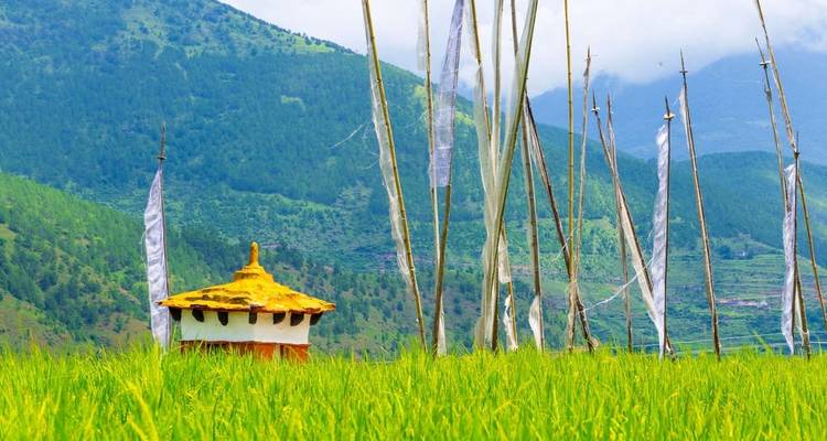 Traditional Bhutanese structure surrounded by tall prayer flags.