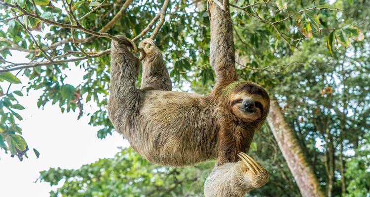 Maravillas naturales de Costa Rica - Wingbuddy 4