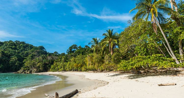 Maravillas naturales de Costa Rica - Wingbuddy 1