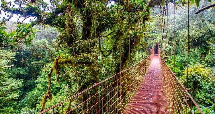Maravillas naturales de Costa Rica - Wingbuddy 10