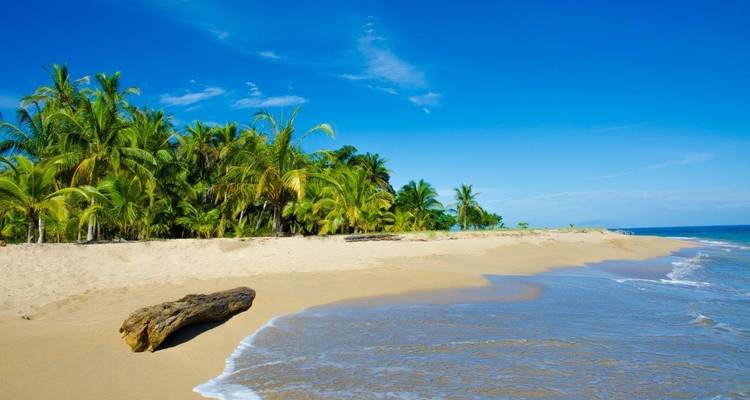 Samara Beach, Short Break - Destination Services Costa Rica 6
