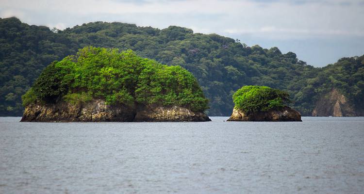 Deux petits îlots couverts de forêt s'élèvent d'une mer grise calme avec une colline verdoyante plus grande en arrière-plan.