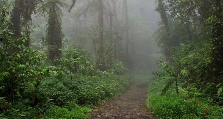 Le meilleur du Costa Rica, autotour - Destination Services Costa Rica 4