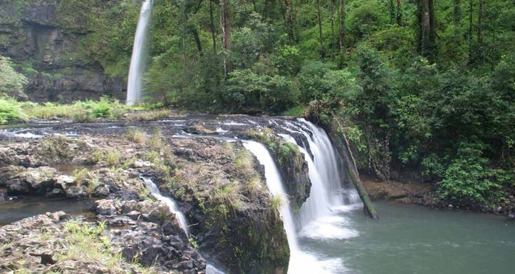 【Cairns】Paquete de 6 Días de Escapada - Delightful Travel 1