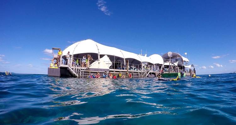 【Cairns】Paquete de 6 Días de Escapada - Delightful Travel 7