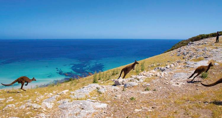 【Adelaide】 Forfait Exploration de 5 jours - Delightful Travel 2