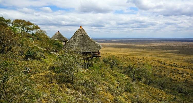 Safari a las colinas Shimba, Ngutuni y Salt Lick, escapada (Bajo petición) - Prime Safaris 7