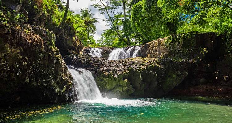Small cascading waterfall surrounded by lush greenery.