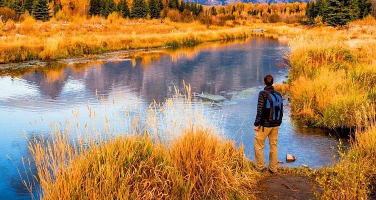 Le voyageur se tient à côté d'une rivière calme et réfléchissante au milieu du feuillage automnal doré du parc national de Grand Teton.