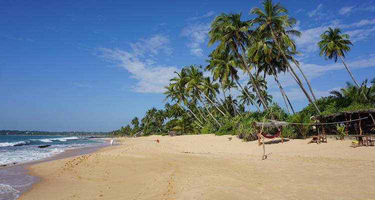 Voyage au Sri Lanka pour un couple - Holiday Lanka Tours 1