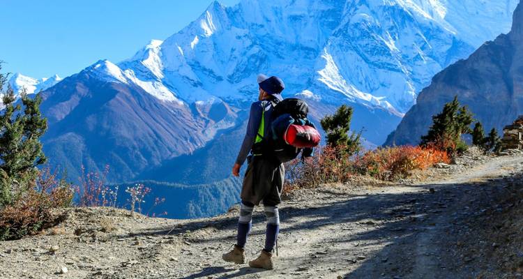 Un routard lève les yeux vers les imposants sommets enneigés de l'Himalaya le long d'un sentier forestier escarpé.