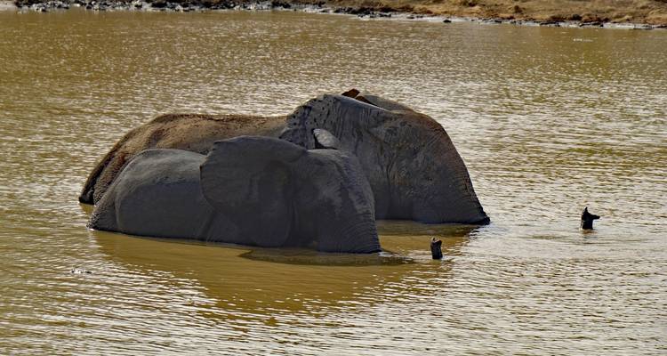 Ghanian Highlights 10 Days/ 9Nights ( Comfort Plus) - Across Africa Tours & Travel 1
