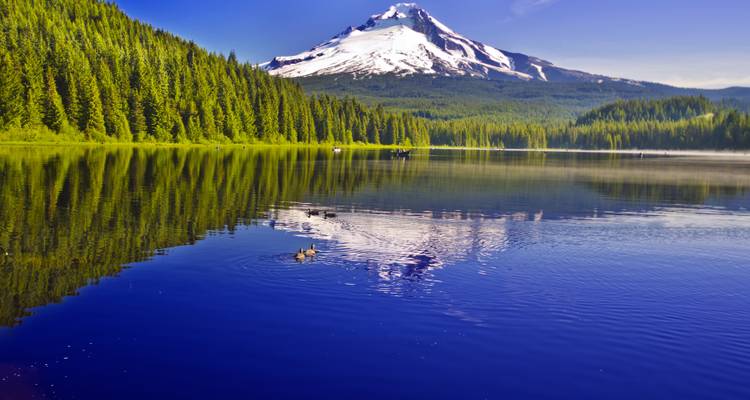Nord-ouest Pacifique et Californie avec Washington, Oregon et Californie (de Seattle, WA à San Francisco, CA) (2025) - Collette 3
