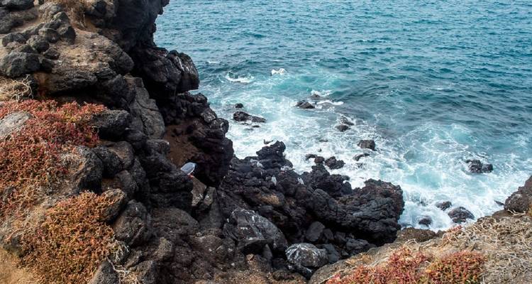 Galápagos Express 6 días de excursión por las islas - GUIDEcuador Travel 6