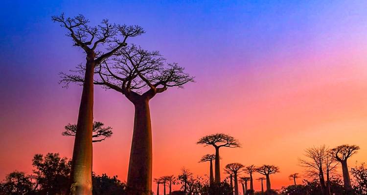 Meilleure aventure personnalisée à Madagascar, départ quotidien et guide privé - Agate Travel 9