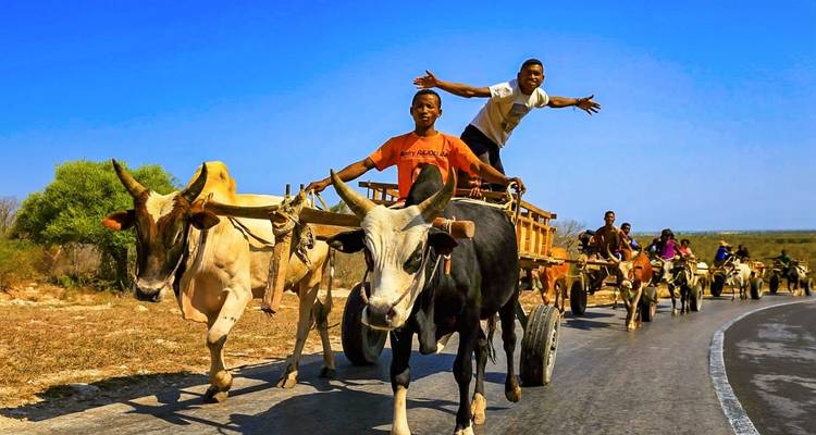 Meilleure aventure personnalisée à Madagascar, départ quotidien et guide privé - Agate Travel 6