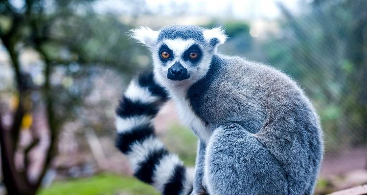 Meilleure aventure personnalisée à Madagascar, départ quotidien et guide privé - Agate Travel 10