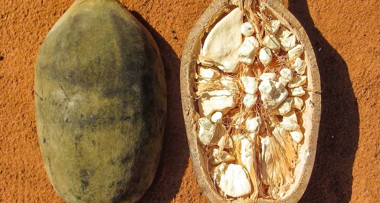 Meilleure aventure personnalisée à Madagascar, départ quotidien et guide privé - Agate Travel 7