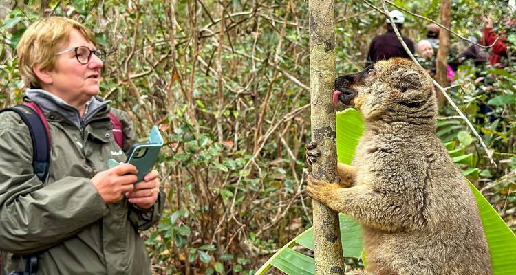 Meilleure aventure personnalisée à Madagascar, départ quotidien et guide privé - Agate Travel 1