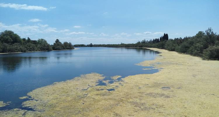 Circuito del lago Bled a Venecia - Helia Travel Agency 4