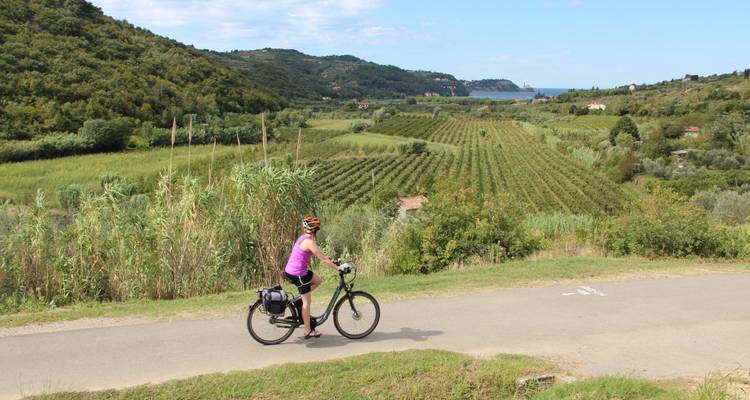 Circuito por la costa de Istria - Helia Travel Agency 7