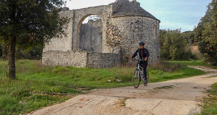 Parenzana Tour (Slovenia&Croatia) - Helia Travel Agency 3