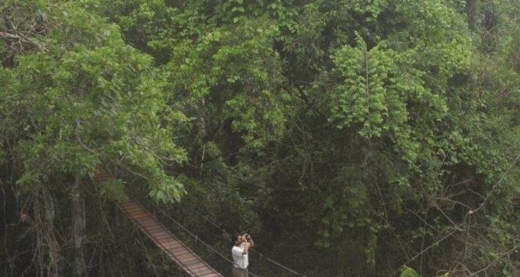 Treehouse Lodge, escapada - bajo petición - LimaTours 4