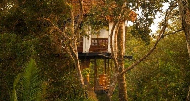 Treehouse Lodge, escapada - bajo petición - LimaTours 10