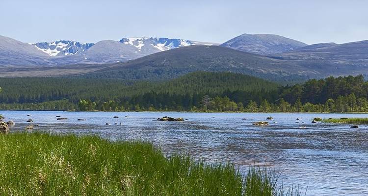 Recorre los Cairngorms en verano - Intrepid Travel 7