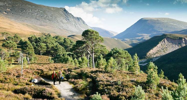 Recorre los Cairngorms en verano - Intrepid Travel 6