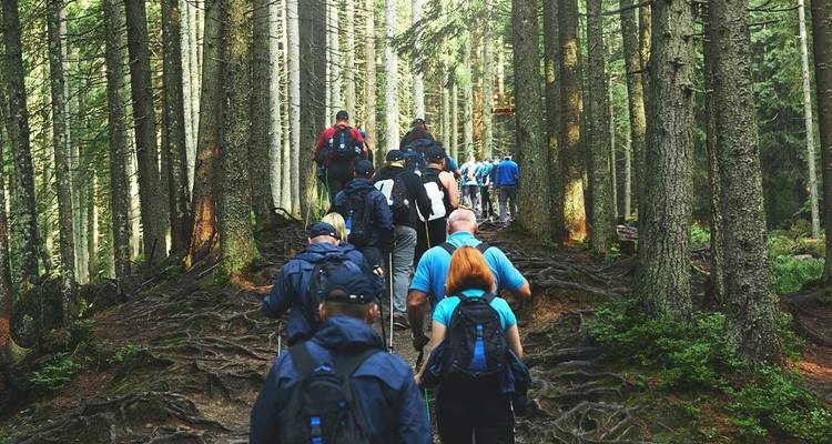 Recorre los Cairngorms en verano - Intrepid Travel 8
