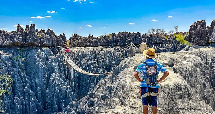 Une scène aventureuse d'un randonneur contemplant un pont suspendu dans un paysage rocheux.