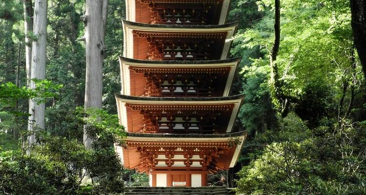 Circuito en grupo a Corea del Sur y Japón - Madventure 8