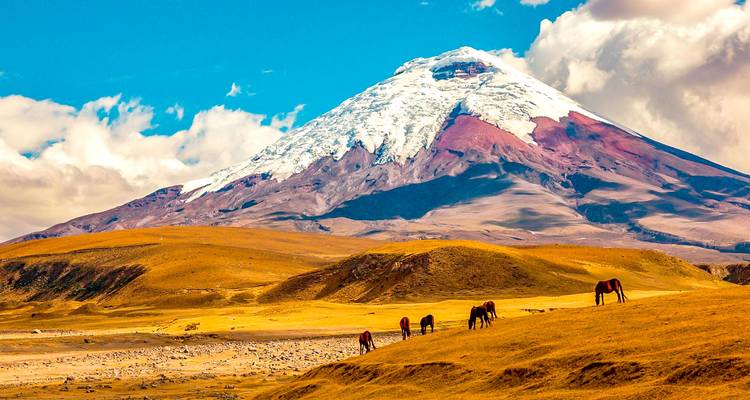 Tailor-Made Private Ecuador Family Vacation with Daily Departure - Agate Travel 9