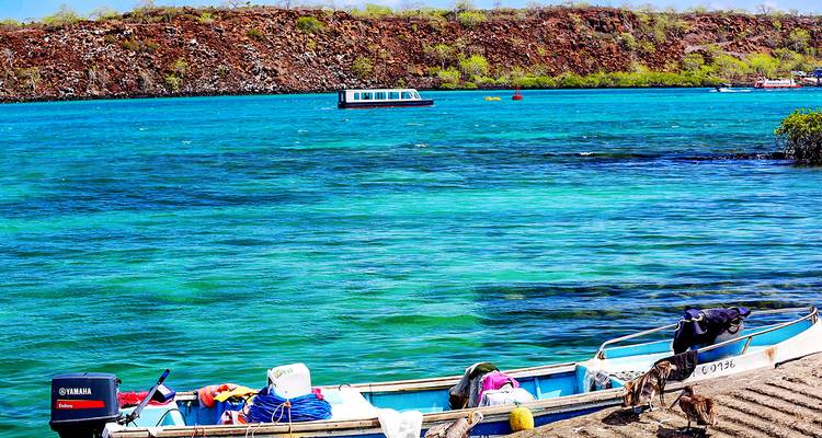 Tailor-Made Private Ecuador Family Vacation with Daily Departure - Agate Travel 2
