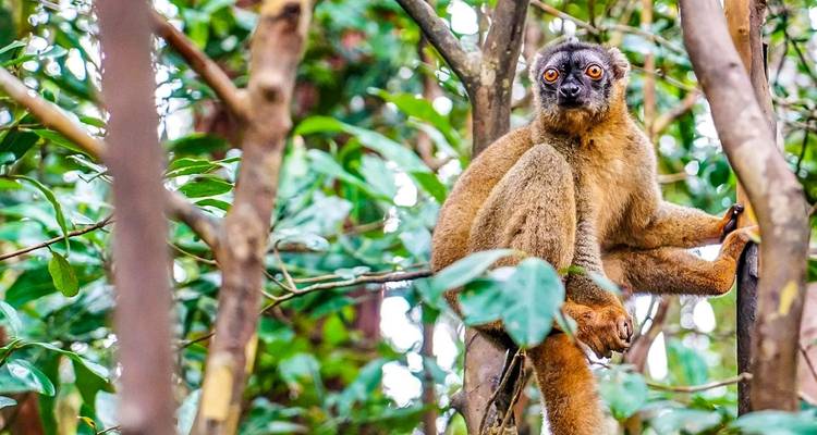 Vacaciones personalizadas en la playa y la naturaleza de Madagascar, salida diaria - Agate Travel 9