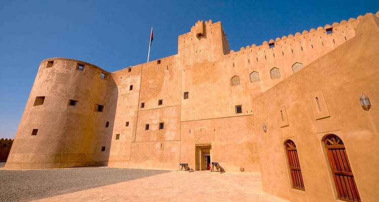 Circuit en groupe de 8 jours dans le magnifique Oman - MTA Destination Management Company 8