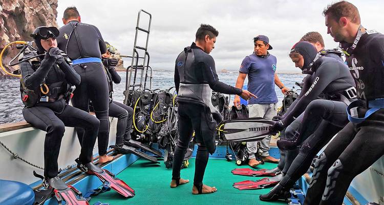 Duikers die hun uitrusting voorbereiden op een boot.