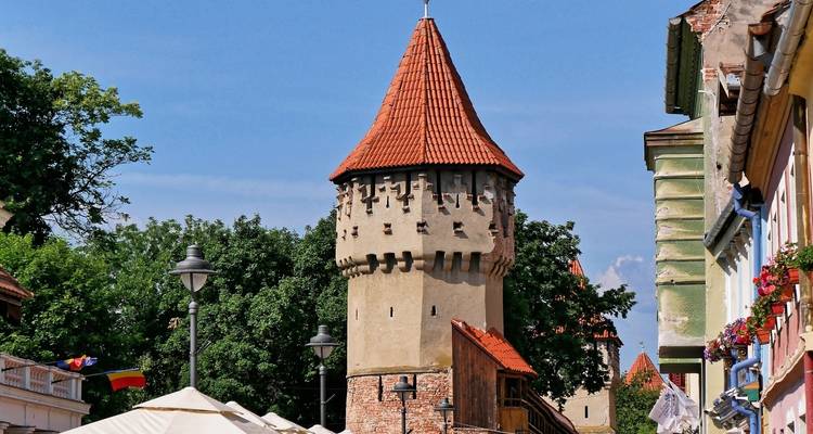 Expériences en Transylvanie - Carpathian Travel Center 4