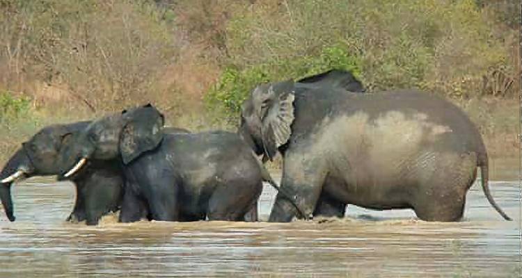 Les points forts du Bénin 5jours / 4nuits - Across Africa Tours & Travel 2
