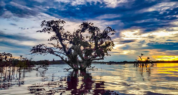 Aventure sur mesure de 8 jours dans la jungle amazonienne de l'Équateur, départs quotidiens - Agate Travel 1