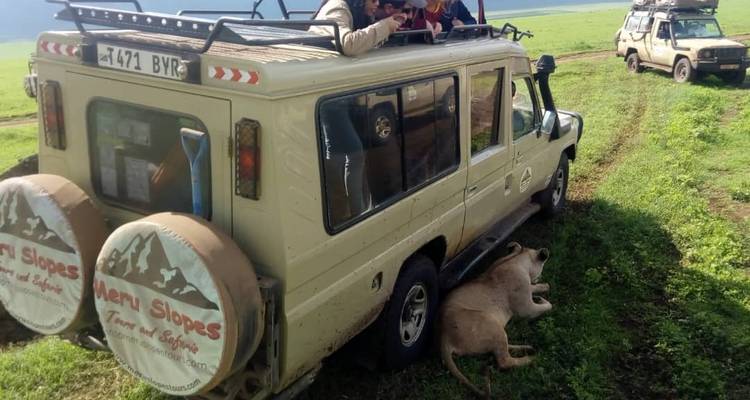4 jours de safari en groupe commun Tarangire Serengeti et Ngorongoro - Meru Slopes Tours and Safaris ltd 1