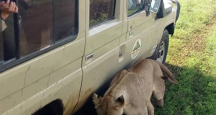 4 jours de safari en groupe commun Tarangire Serengeti et Ngorongoro - Meru Slopes Tours and Safaris ltd 3
