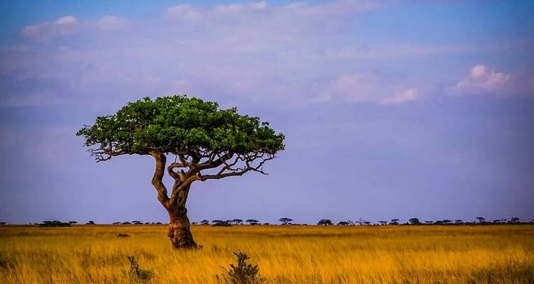 4 jours de safari en groupe commun Tarangire Serengeti et Ngorongoro - Meru Slopes Tours and Safaris ltd 9