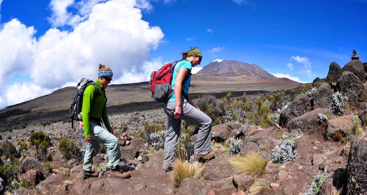 Lemosho Route – Climb Kilimanjaro – 9 days - Meru Slopes Tours and Safaris ltd 2